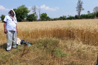 Farmer wandering for 1 year to get the land demarcated.