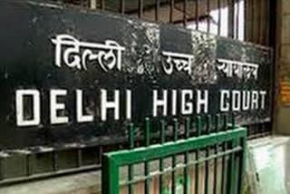 Delhi HC seeks Centre, Delhi govt's response on plea for feeding stray animals during lockdown