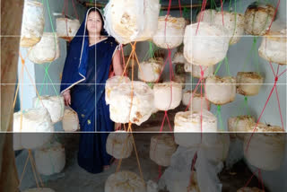 ladies of  bemetra earning by selling mushroom