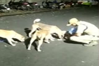 home guard feeding dogs in hyderabad