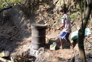 illegal liquor destroy in kangra