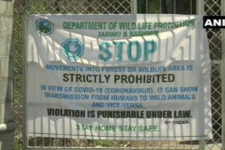 dachigam national park banned  entry of visitors