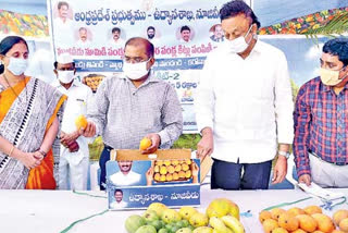 mango-fruits-distribution-by-the-phone-call-ordered-at-vijayawada