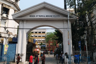 School of Tropical Medicine