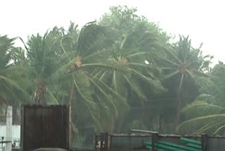 weather report by cyclone hazard centre