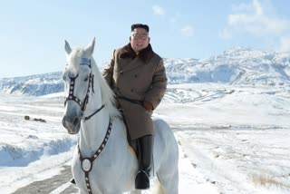 North Korea's Leader Kim Jong Un at a glance