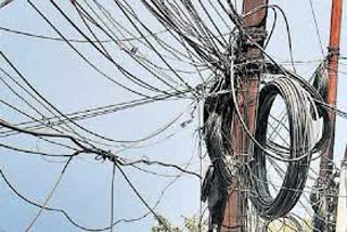 5-cattle-died-due-to-electricity-shock-in-gariyaband