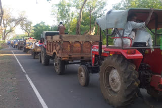 A large number of farmers arrived in Agar Malwa to sell wheat in the new agricultural produce market