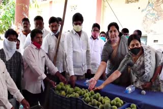 fruits distribution in nallabelli by minister sathyavathi ratode