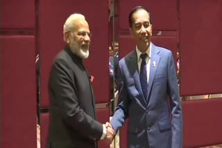Narendra Modi talks with Indonesian president
