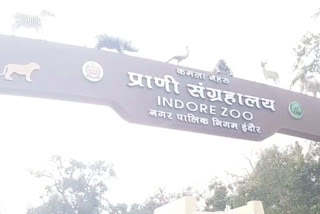 Severe heat hit with corona in indore