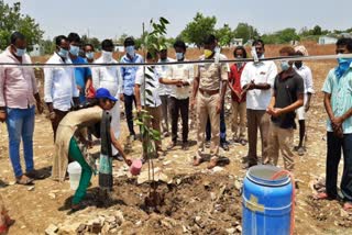 Villagers planting saplings instead of fairs