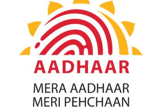 aadhar pic