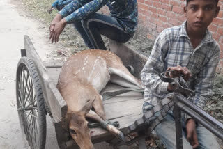 सीतापुर समाचार.