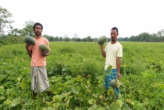 baksha farmer facing problems because of lock down