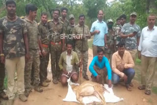 3 are arrested who were hunting deer