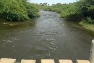 Heavy Rain Flooding in the Noel River  திருப்பூர் செய்திகள்  நொய்யல் ஆற்றில் வெள்ளப்பெருக்கு