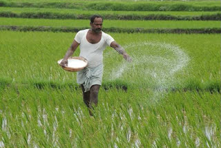Central government intensifies agricultural activities