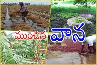 heavy rain in ap