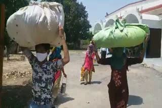 9 laborers reached sirsa from jaisalmer by walking 600 kilometers