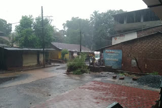 unseasonal rain in ratnagiri district