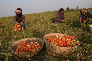 সাহায্য অবিহনে ক্ষতি কৰিব খেতিয়কক