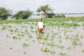 farmers problems in kurnool