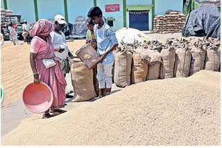 paddy purchases in nelore