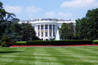 white House