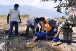 பழனி அருகே 100 லிட்டர் சாராய ஊறல் அழிப்பு