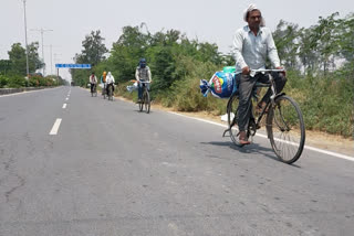 57 migrants on way to hometowns on bicycles booked