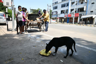 srikakulam lockdown