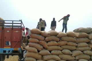 Workers working in abhanpur paddy Collection Center