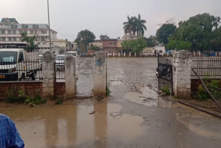 Heavy rain and hail storm occurred in Paonta Sahib, पांवटा साहिब में हुई तेज बारिश और ओलावृष्टि