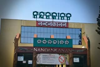 nandankanan