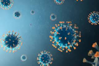 Coronavirus