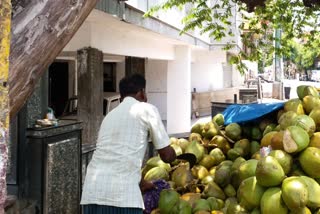 tender coconut