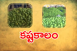 fruit farmers facing issues during lockdown in telangana