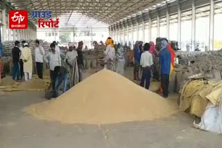 farmers and crop sellers facing problem in ambala grain market