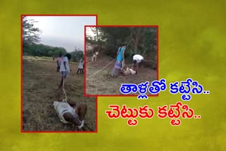 land dispute between brothers and attempt to murder in thudikurthy