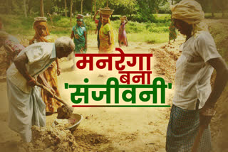 18-lakh-laborers-got-work-under-mgnrega-in-chhattisgarh