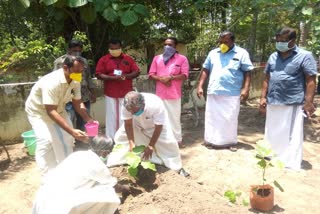 jeevanam project inaugurated by minister raju  ജീവനം ഹരിതസമൃദ്ധി  എഐവൈഎഫ് ഹരിതസമൃദ്ധി