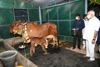 Arrival of new guests to the chief minister house