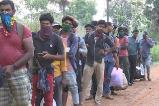 Fishermen arriving in their own districts