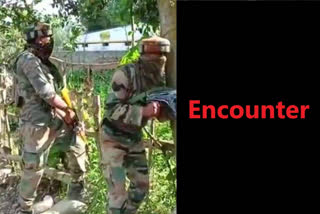 encounter rages in South kashmir's pulwama, 2 militants killed