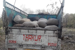 Forest Department seized a truck full of illegal mahua