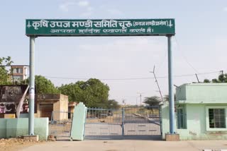 Agricultural Market in Churu, चूरू न्यूज