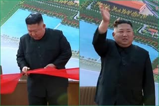 kim