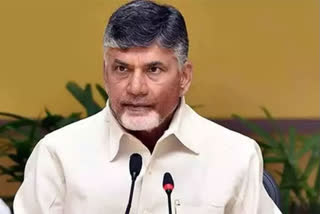 chandrababu comments on media cases