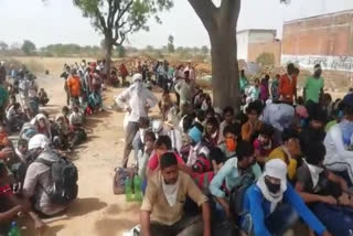 workers-stuck-at-uttar-pradesh-madhya-pradesh-border